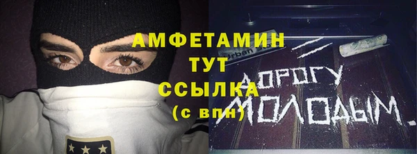 стаф Алзамай