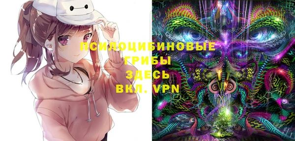 стаф Алзамай