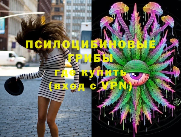 стаф Алзамай