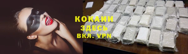 стаф Алзамай
