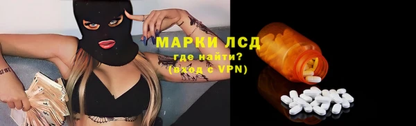 стаф Алзамай