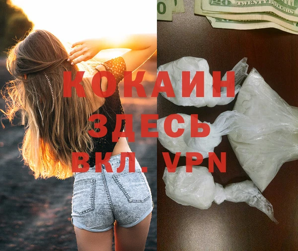 стаф Алзамай