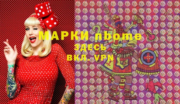 стаф Алзамай