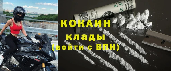 стаф Алзамай