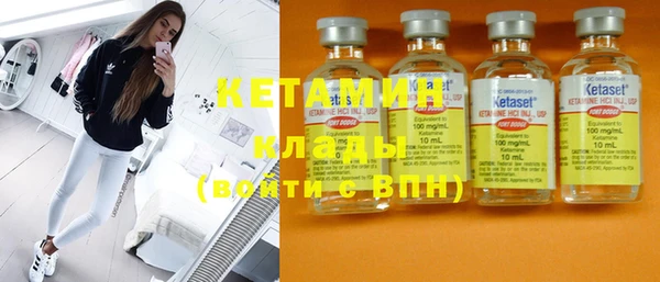 стаф Алзамай