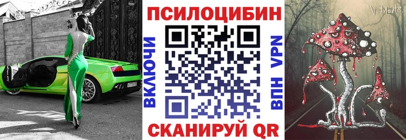 Псилоцибиновые грибы Psilocybine cubensis  Комсомольск 